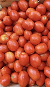 Read more about the article Annual Tomato Day